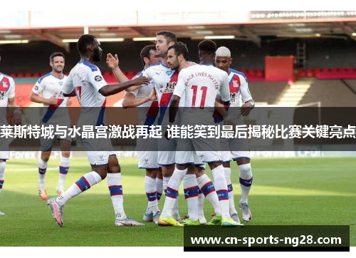 莱斯特城与水晶宫激战再起 谁能笑到最后揭秘比赛关键亮点