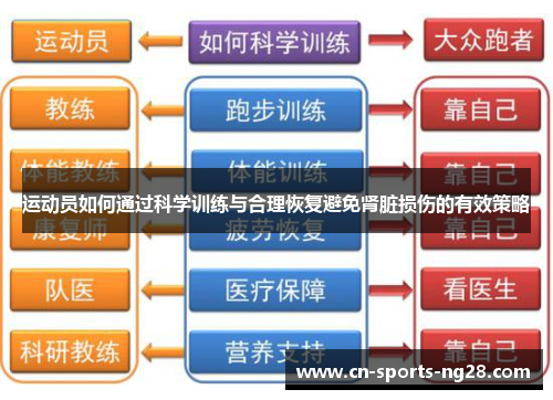 运动员如何通过科学训练与合理恢复避免肾脏损伤的有效策略 运动员如何通过科学训练与合理恢复避免肾脏损伤的有效策略