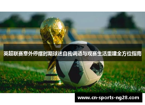 英超联赛意外停摆时期球迷自我调适与观赛生活重建全方位指南 英超联赛意外停摆时期球迷自我调适与观赛生活重建全方位指南