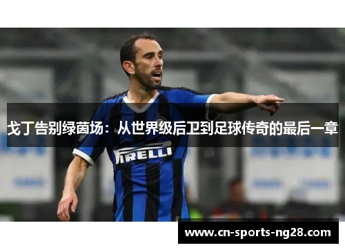 戈丁告别绿茵场:从世界级后卫到足球传奇的最后一章 戈丁告别绿茵场:从世界级后卫到足球传奇的最后一章