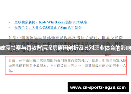 魏震禁赛与罚款背后深层原因剖析及其对职业体育的影响